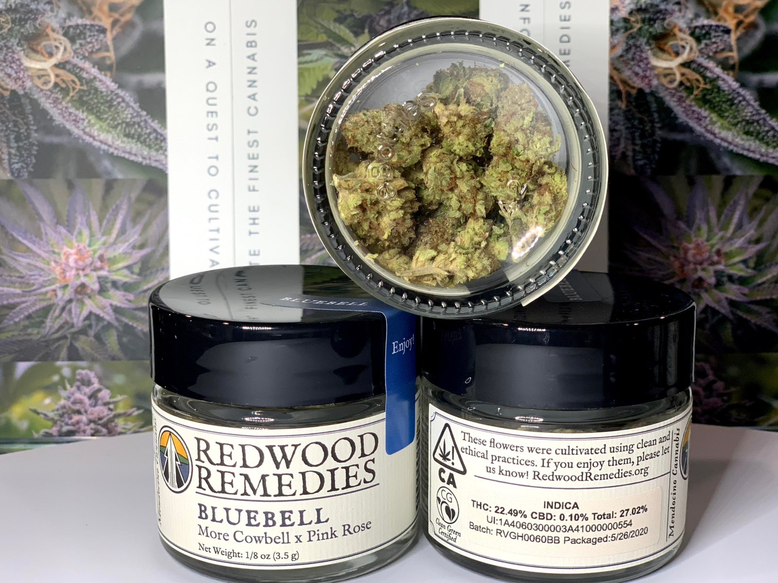 Redwood Remedies Bluebell 3.5g Prepackaged 1/8 Kure Wellness Medical and Recreational